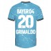 Bayer Leverkusen Alejandro Grimaldo #20 3rd Dres 2023-24 Krátkým Rukávem